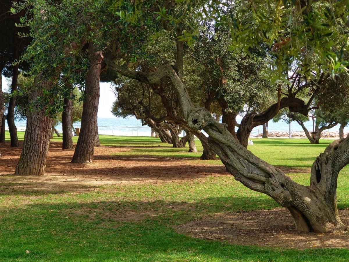 Primera Linia De Mar, Zona Tranquila Appartement Cambrils Buitenkant foto